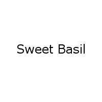 Sweet Basil